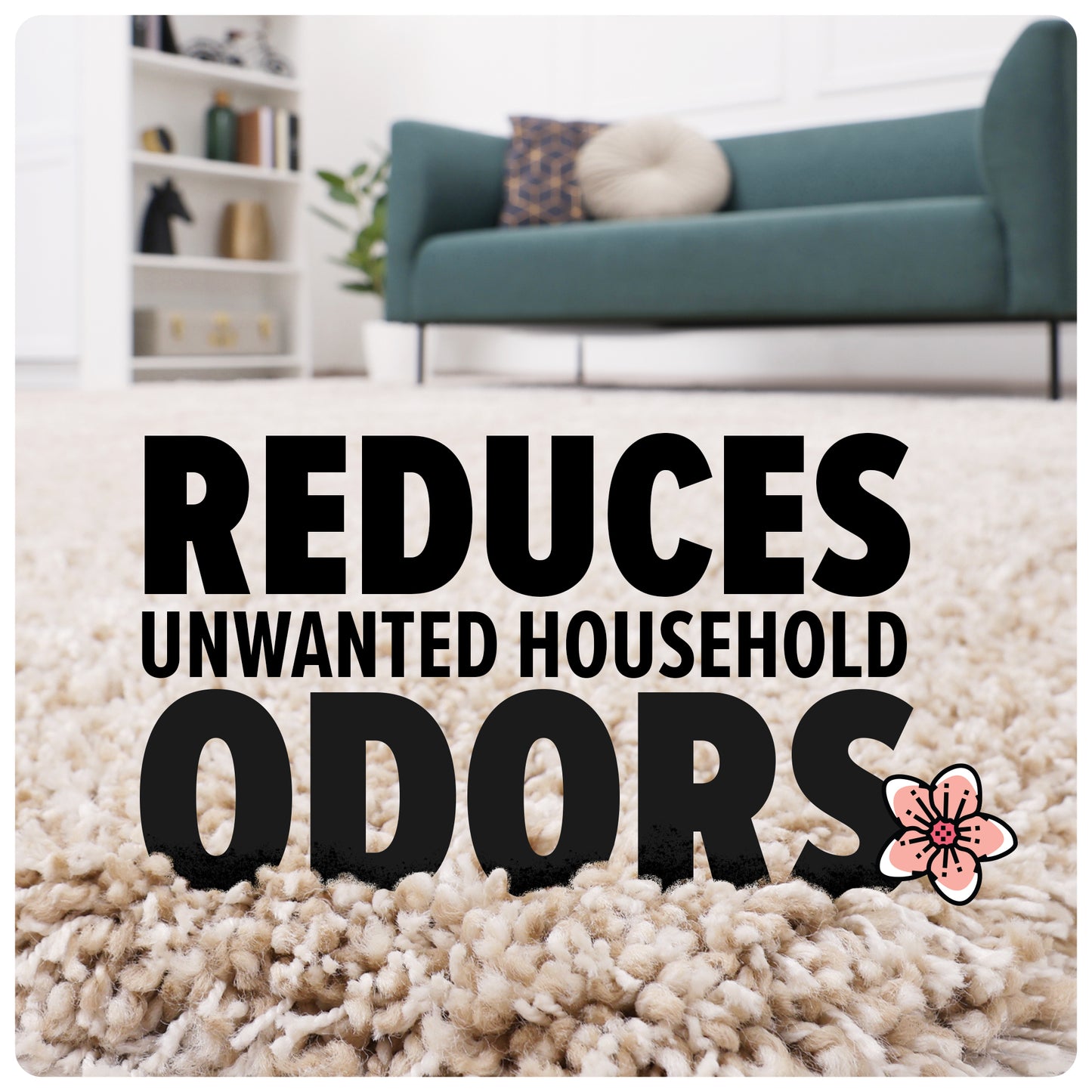 Carpet Powder (4-pack)