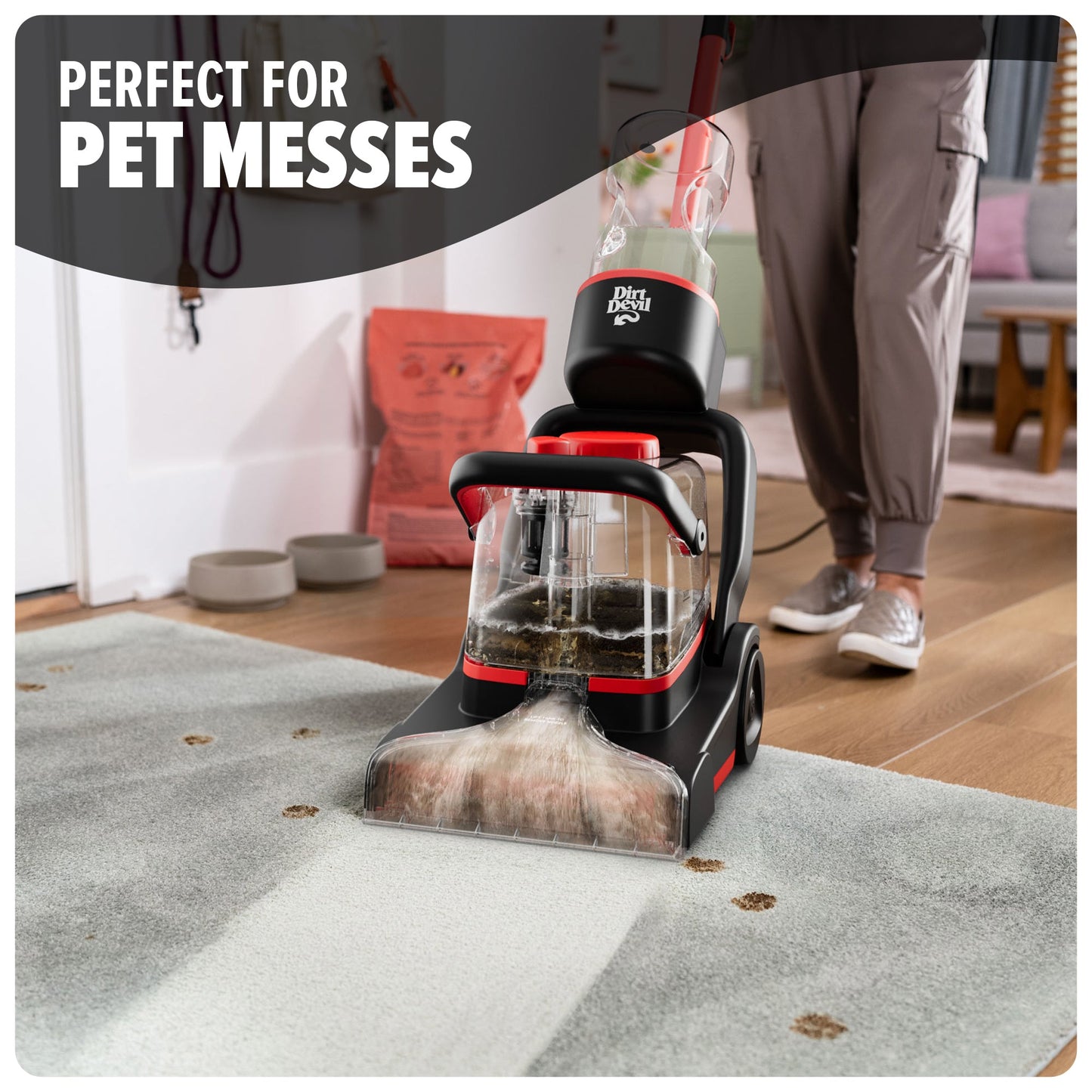 Carpet Cleaner