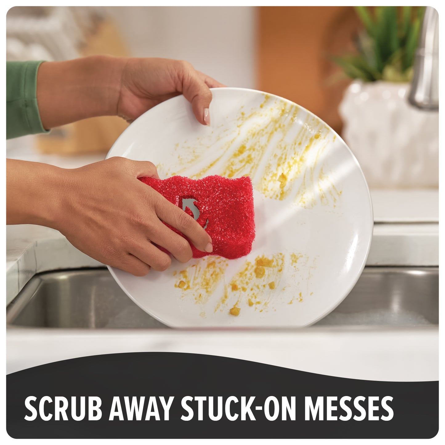 Scrub Devil Sponge